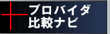 �v���o�C�_�[�i�r